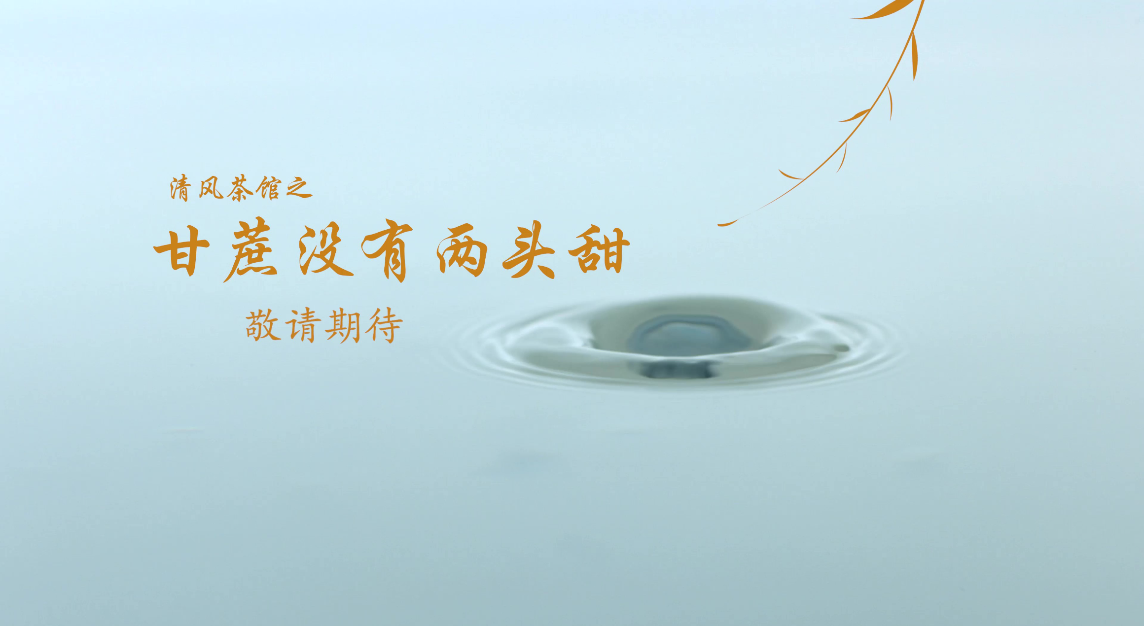 短片預(yù)告｜“權(quán)力延續(xù)”的差事，不能干！